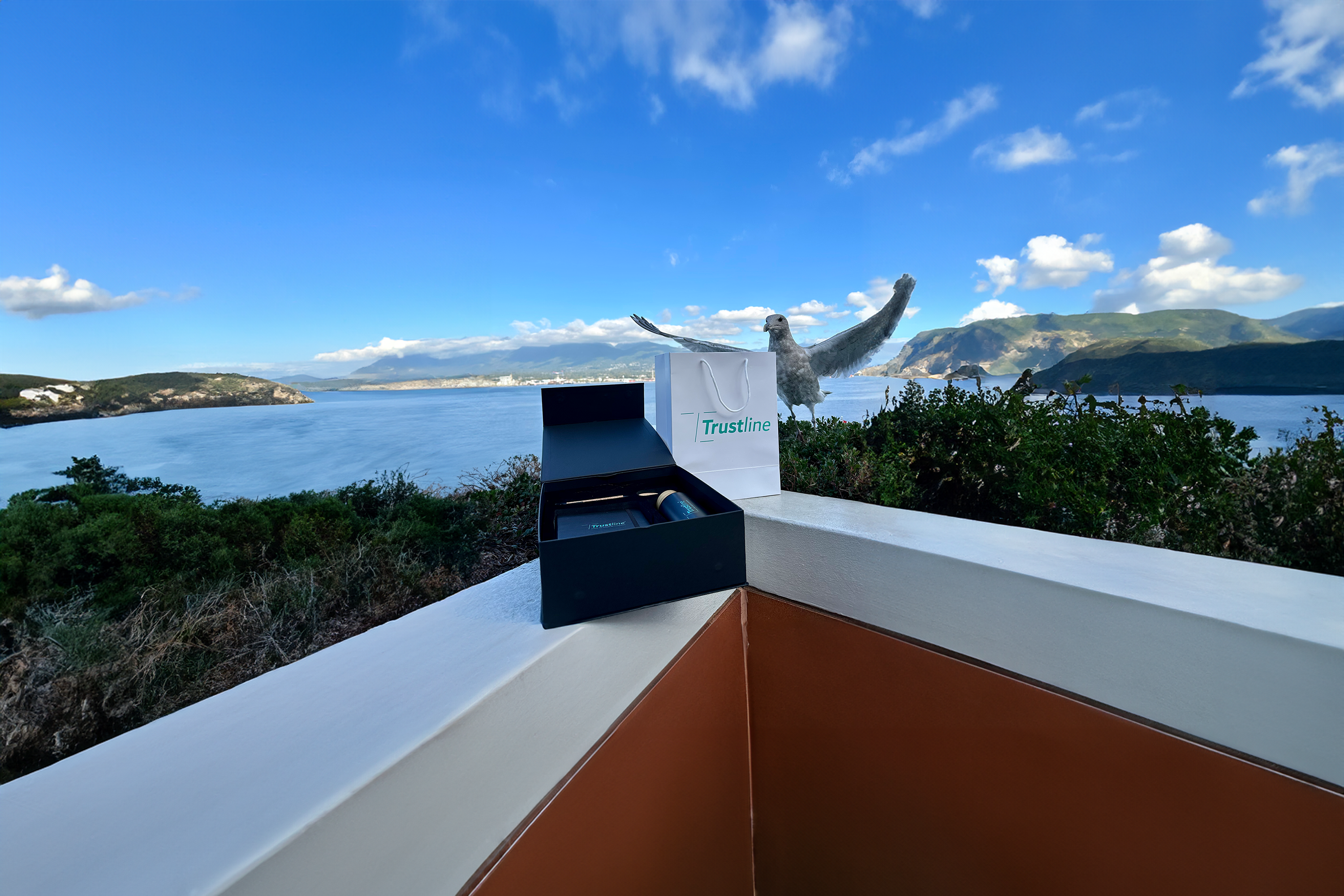 Trustline Enterprises product box and bag displayed on a balcony with a scenic view of the ocean and mountains in the background.