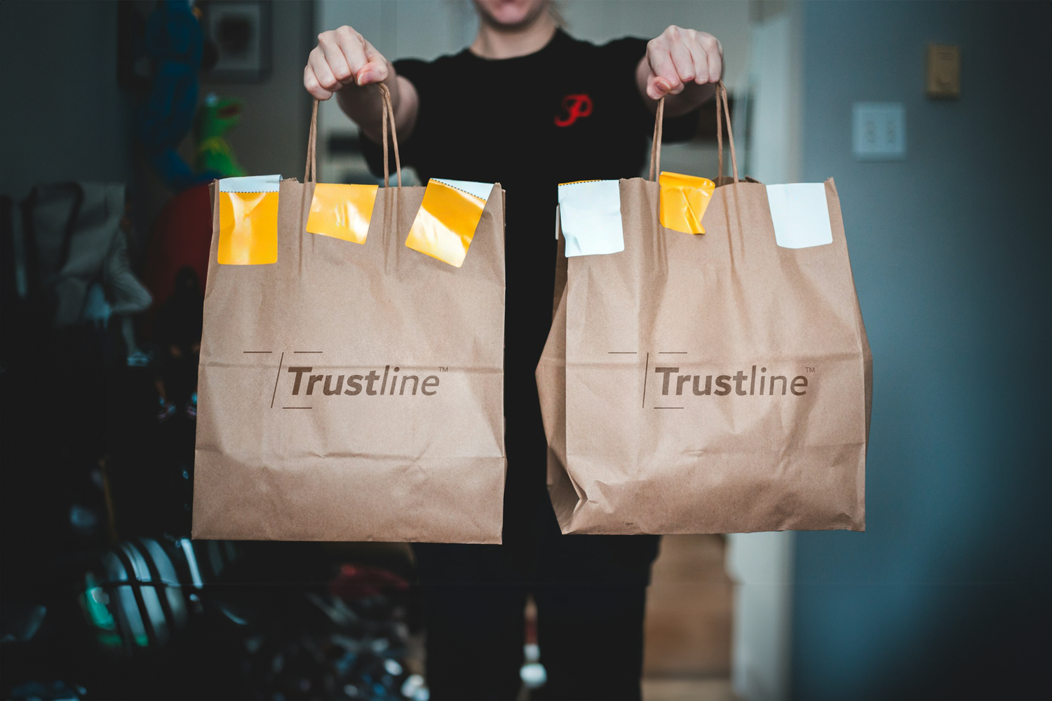 Person holding two paper bags with Trustline Enterprises' logo, showcasing their efficient and reliable packaging solutions for various industries.