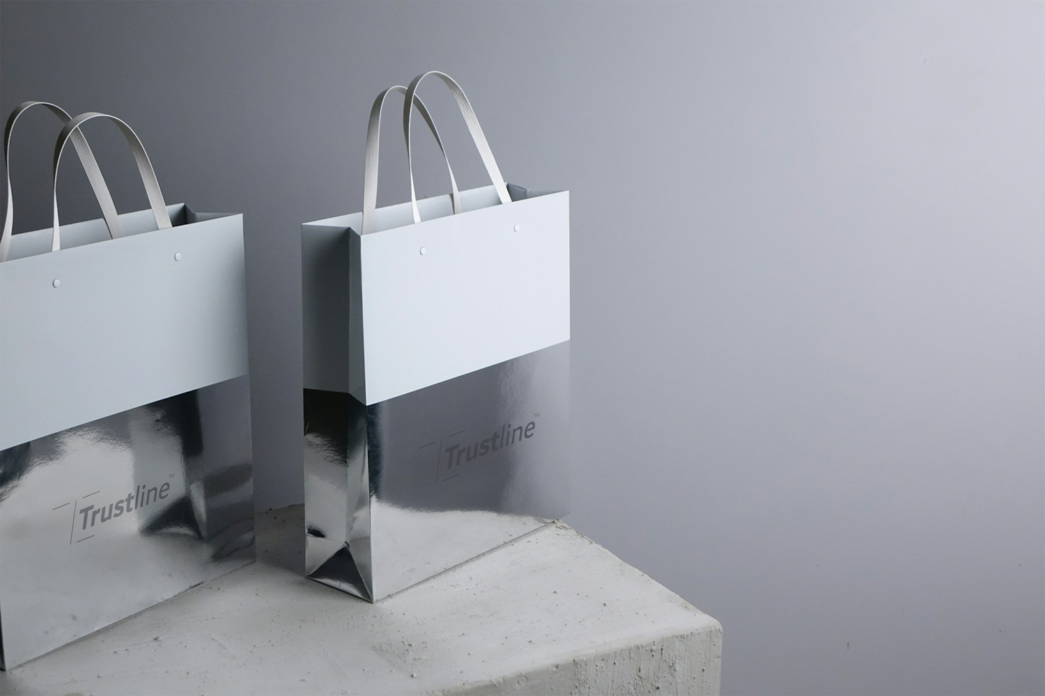 Two stylish Trustline Enterprises branded shopping bags with a sleek design, displayed on a concrete surface against a neutral background.