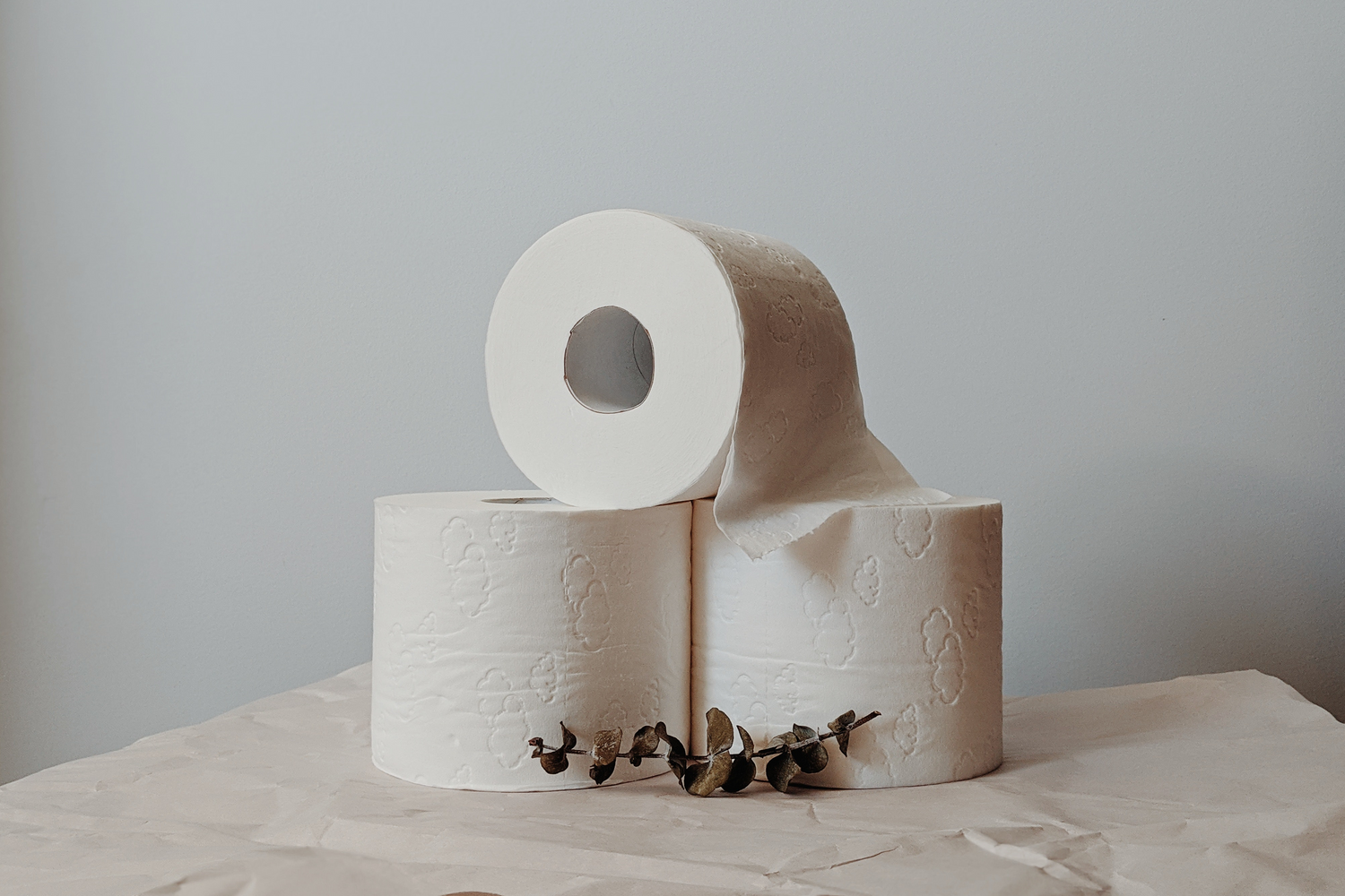 Three rolls of high-quality toilet paper from Trustline Enterprises, showcasing the soft and durable texture suitable for various industries such as hospitality, healthcare, and retail.