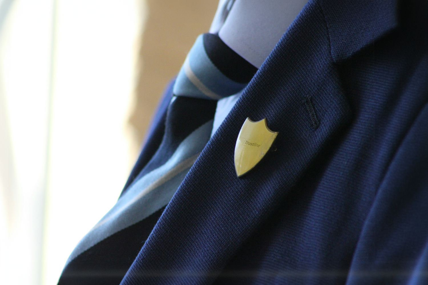 Close-up of a suit jacket with a light blue and navy striped tie, featuring a gold shield lapel pin.